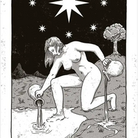 Black Ritual Tarot-Earth Fairy Holistics