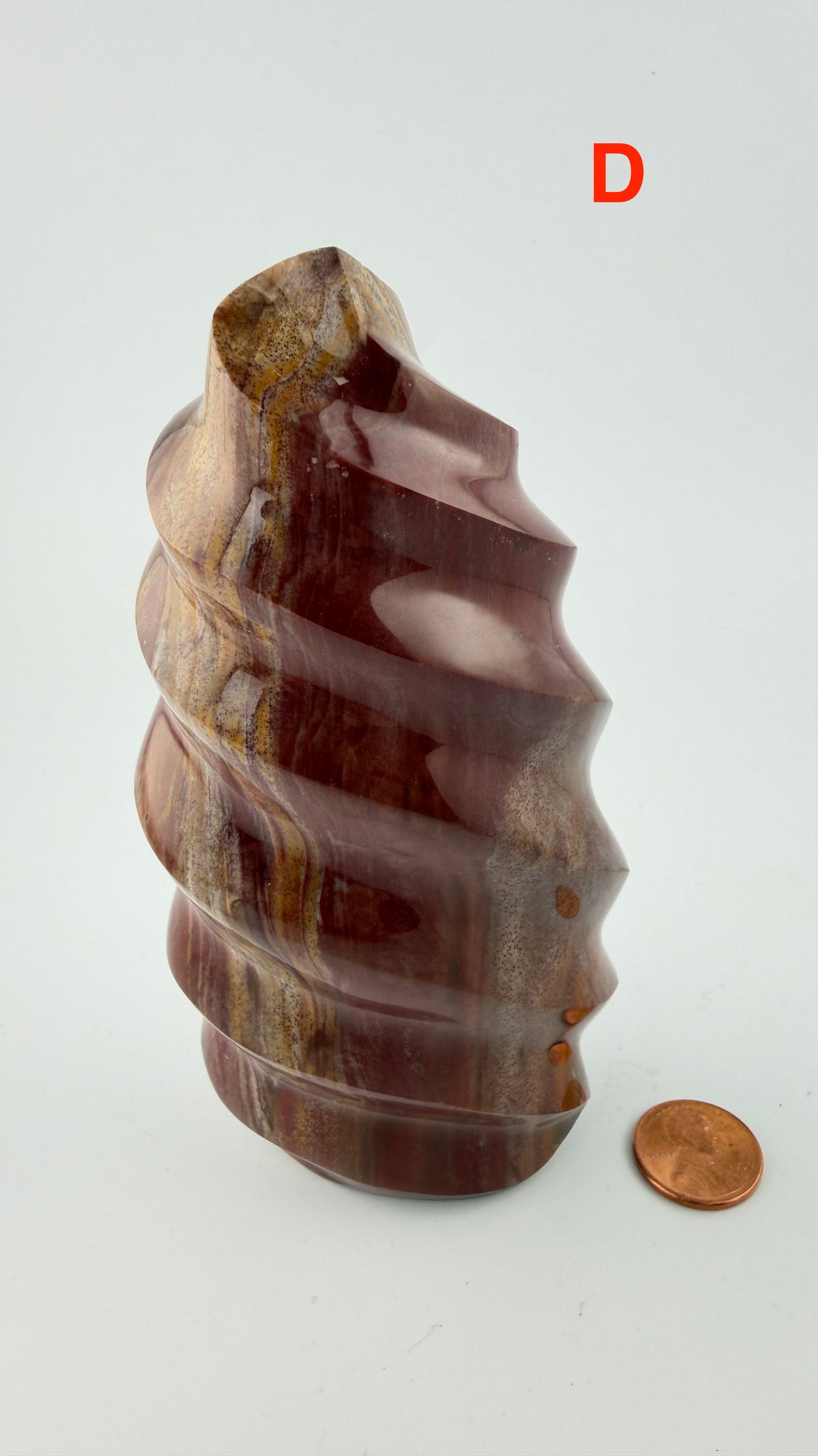 Petrified Wood Flames-Earth Fairy Holistics