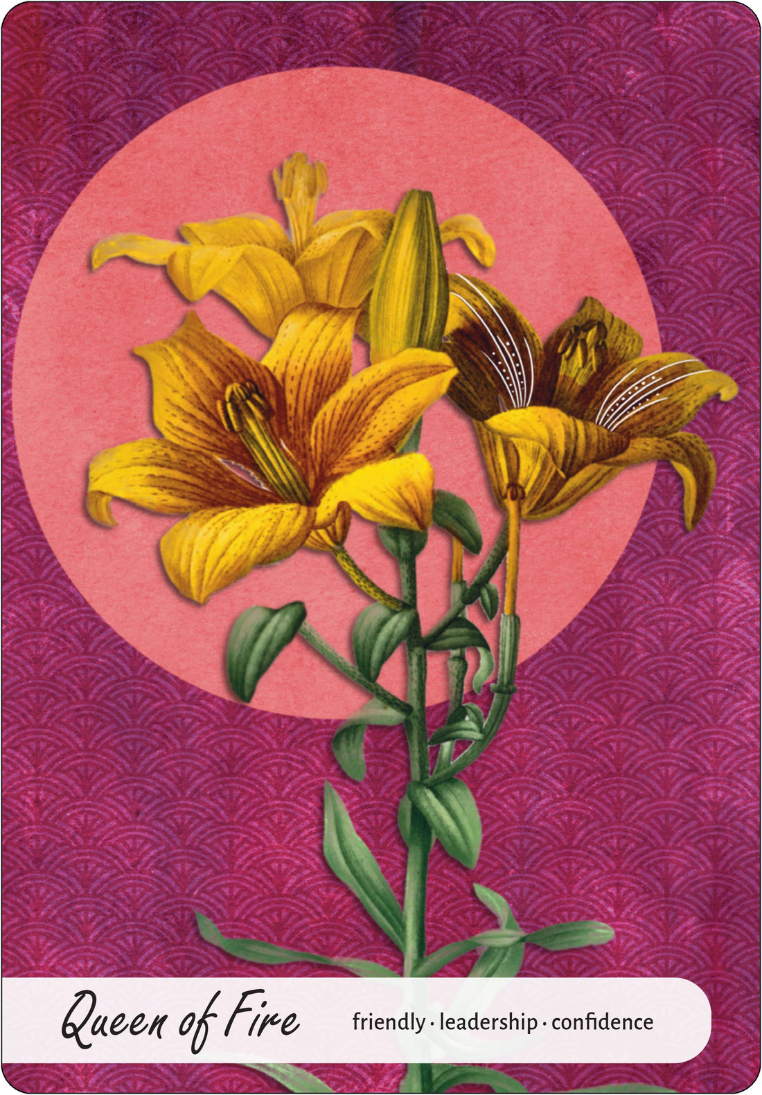 Wise Earth Medicine Tarot: 78 Cards & 96 Page Guidebook-Earth Fairy Holistics