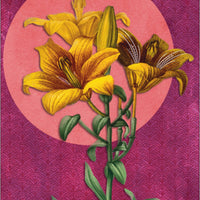Wise Earth Medicine Tarot: 78 Cards & 96 Page Guidebook-Earth Fairy Holistics