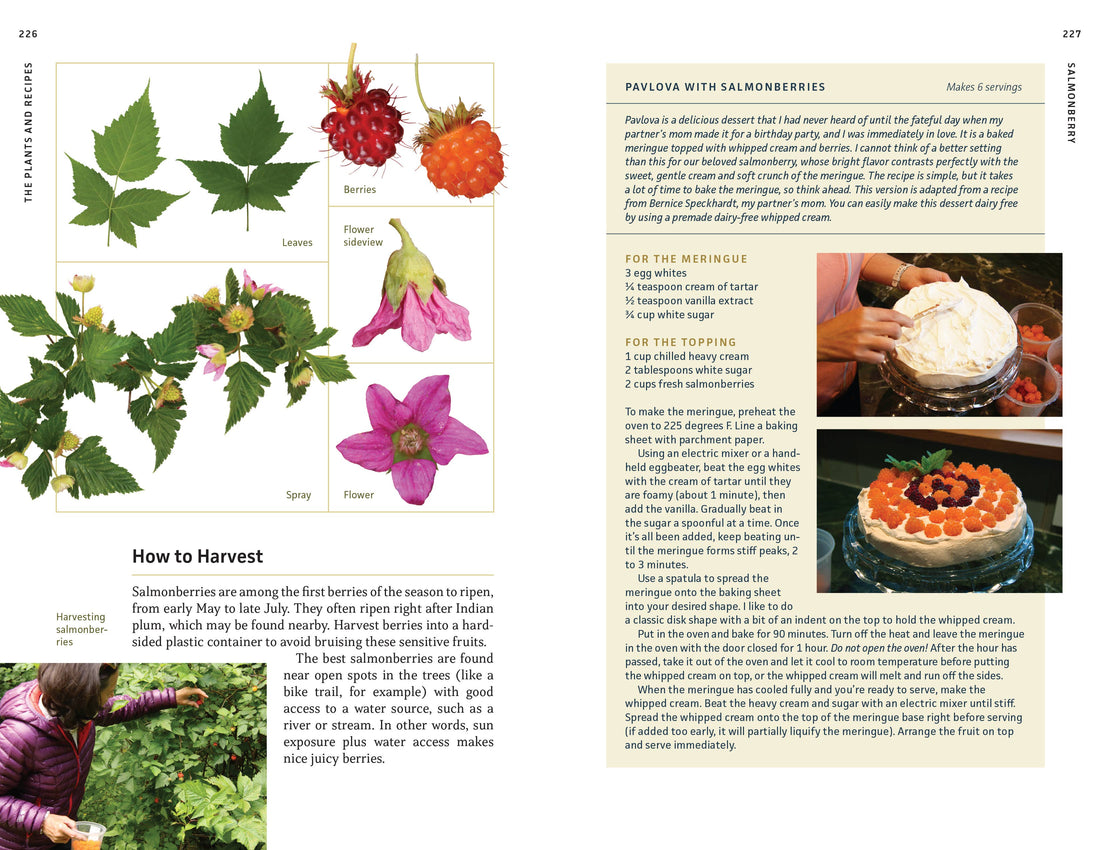 Edible Plants of the Pacific Northwest-Earth Fairy Holistics