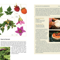 Edible Plants of the Pacific Northwest-Earth Fairy Holistics