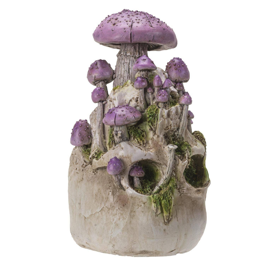 Skull with Purple Mushrooms-Earth Fairy Holistics