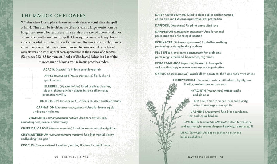 Witch's Way by Shawn Robbins-Earth Fairy Holistics