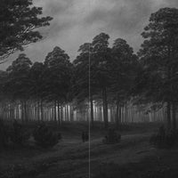 Dark Forest Longing: Tales of Folk Horror & Nature Mysticism-Earth Fairy Holistics