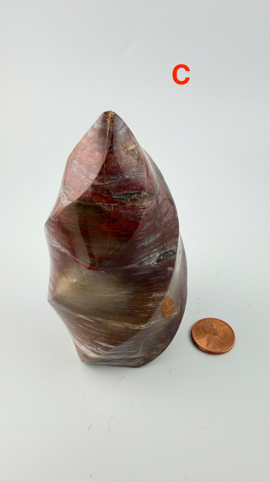 Petrified Wood Flames-Earth Fairy Holistics