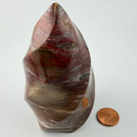 Petrified Wood Flames-Earth Fairy Holistics