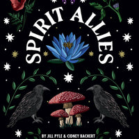 Spirit Allies Oracle Deck-Earth Fairy Holistics
