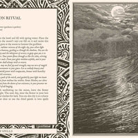 Lost Book of Spells by Fiona Horne-Earth Fairy Holistics