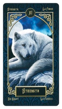 Tarot Familiars by Lo Scarabeo-Earth Fairy Holistics