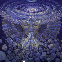 Shamanic Oracle by-Earth Fairy Holistics