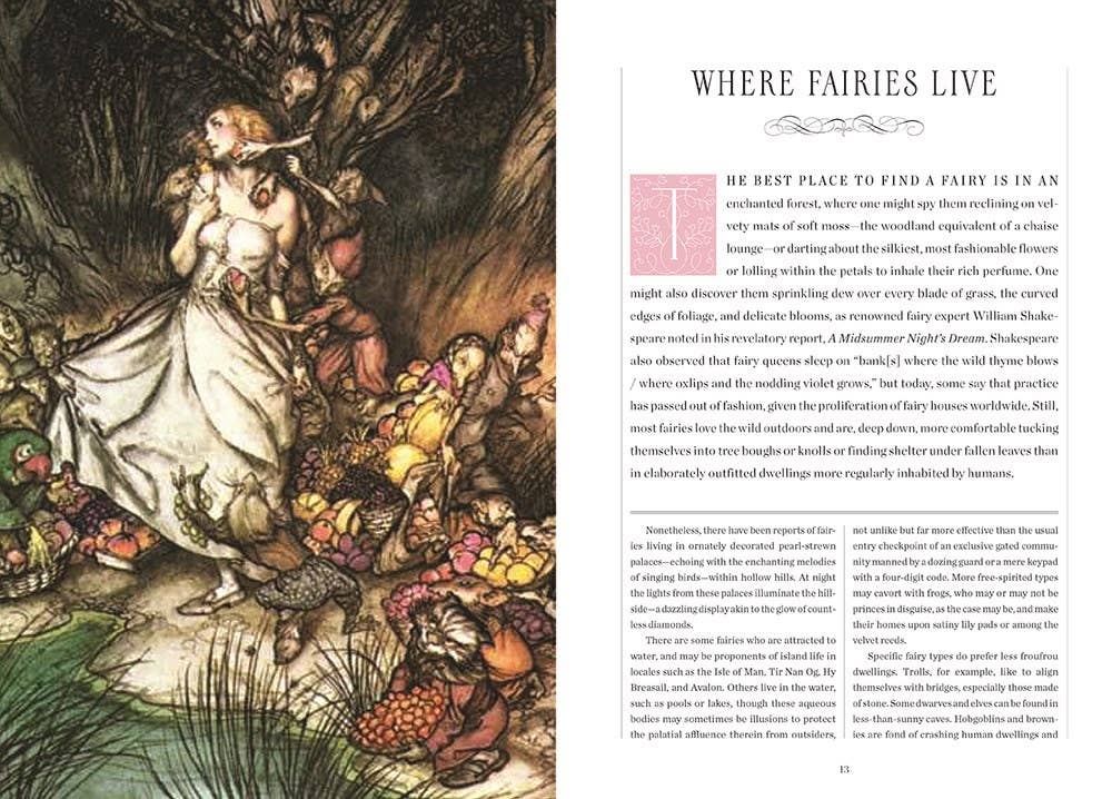 Faerie Handbook, The: The Editors of Faerie Magazine-Earth Fairy Holistics