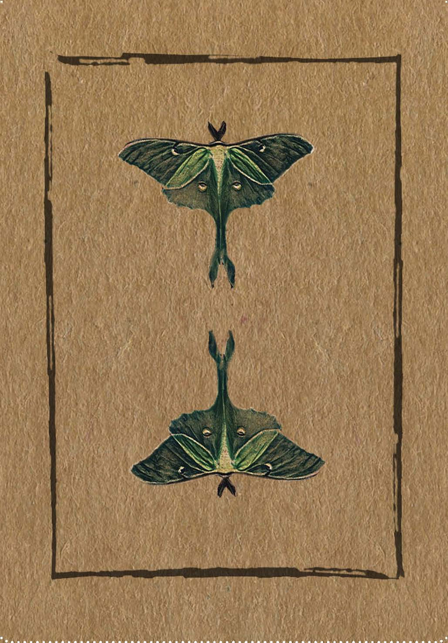 Conjure Cards: Fortune-Telling Card Deck and Guidebook-Earth Fairy Holistics