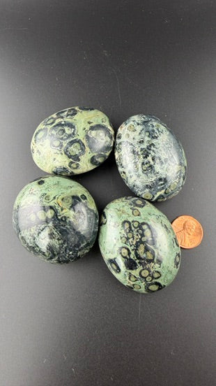 Kambaba Jasper Palm Stones-Earth Fairy Holistics
