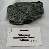 Actinolite Specimens