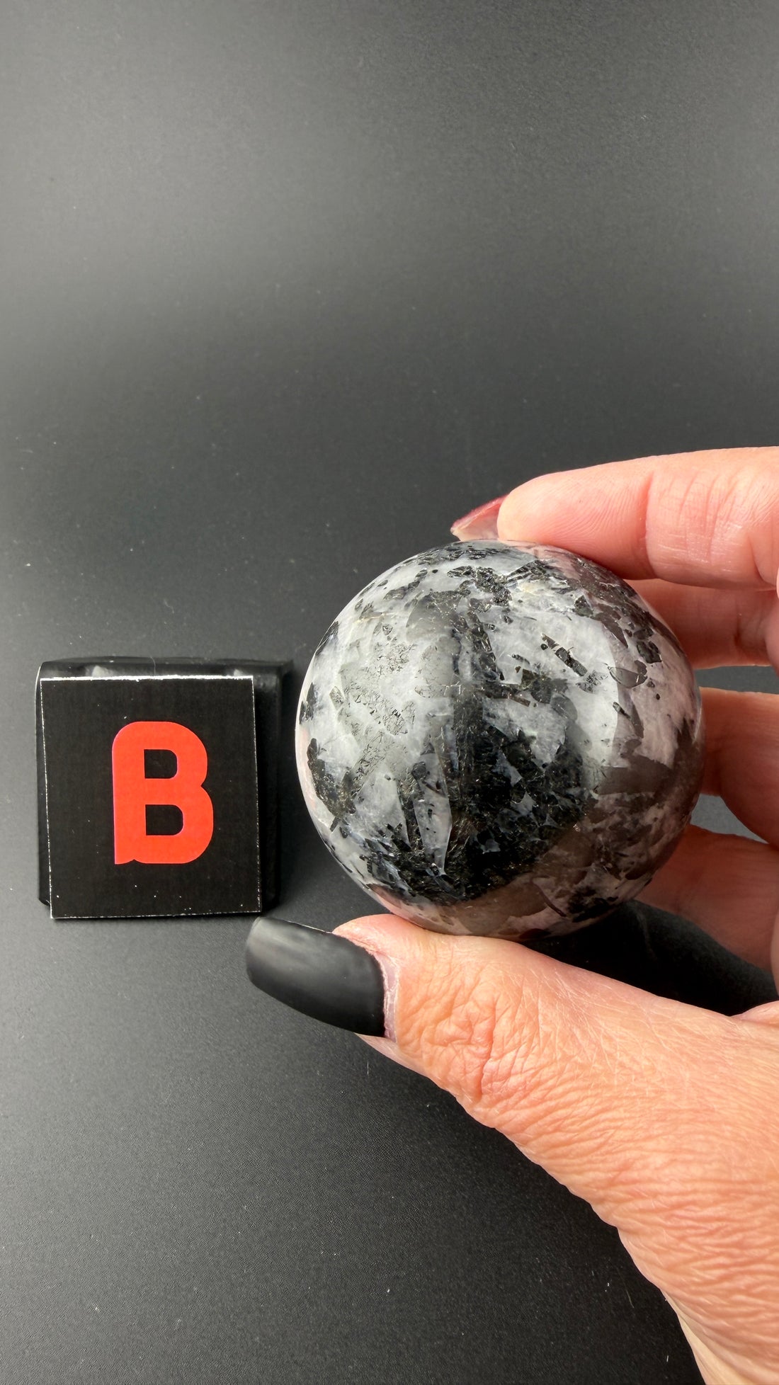 Black Tourmaline in Quartz Sphere-Earth Fairy Holistics