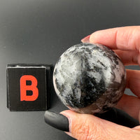 Black Tourmaline in Quartz Sphere-Earth Fairy Holistics