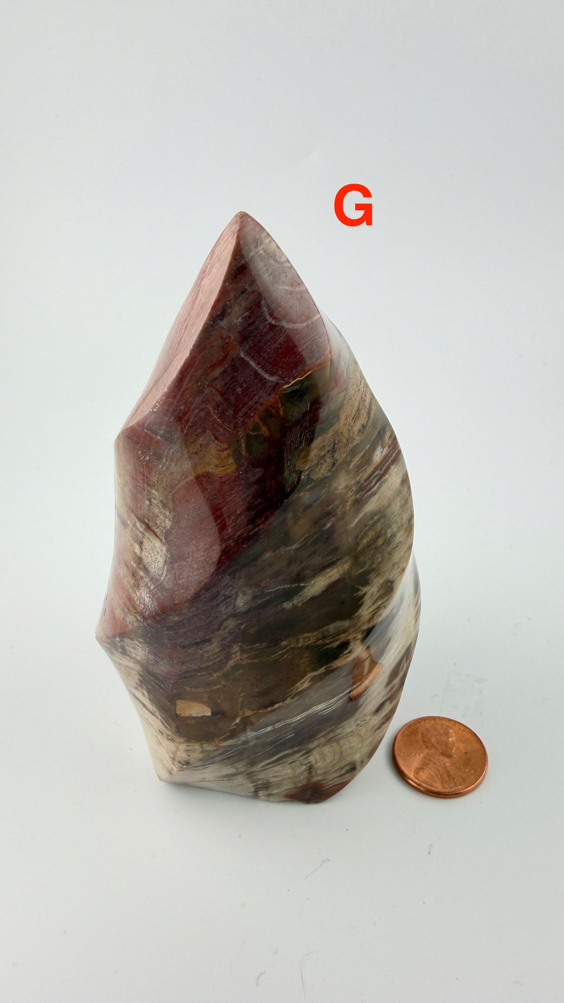 Petrified Wood Flames-Earth Fairy Holistics