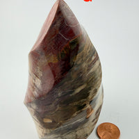 Petrified Wood Flames-Earth Fairy Holistics