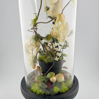Skullflower Sonata-Earth Fairy Holistics