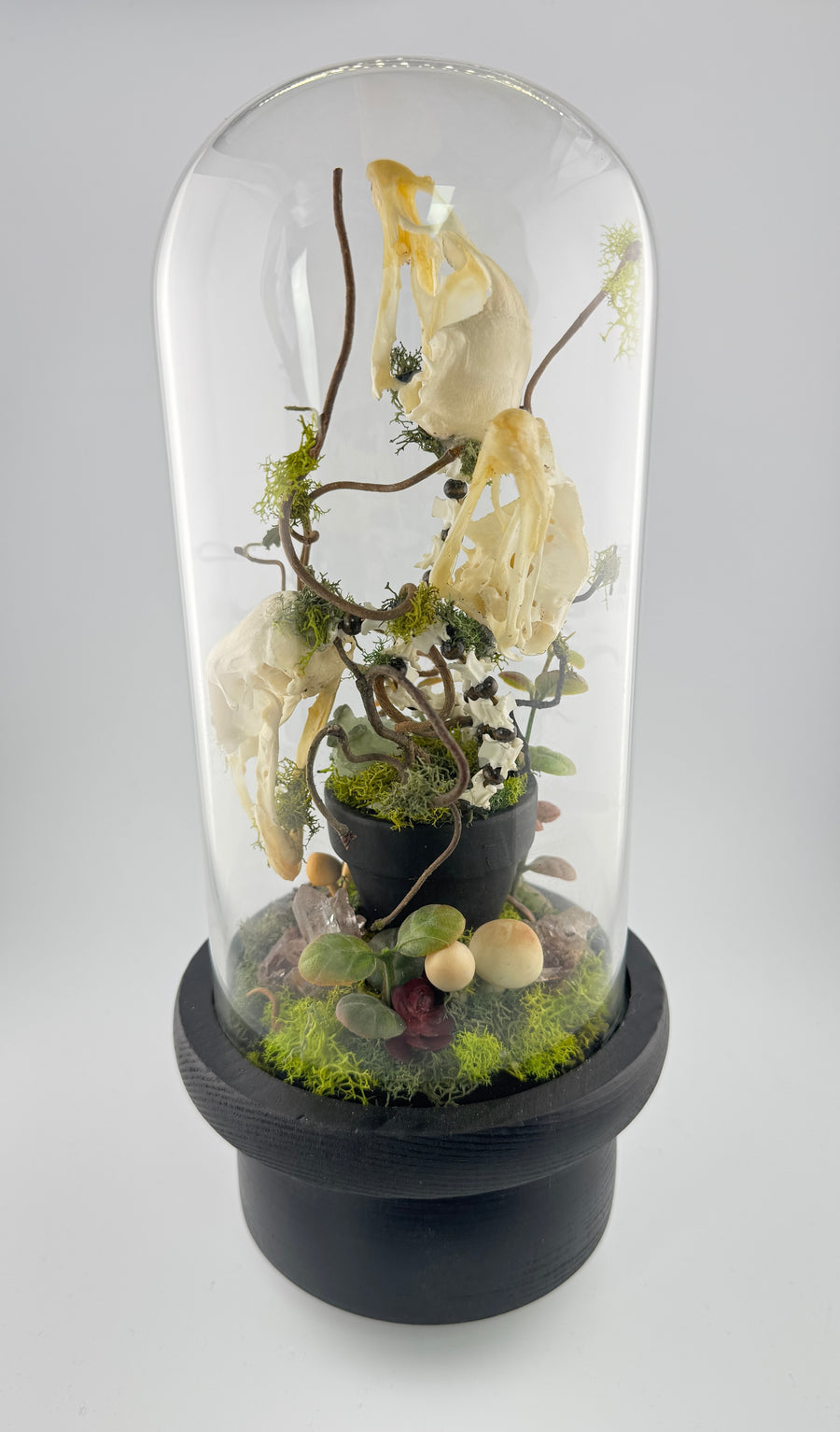 Skullflower Sonata-Earth Fairy Holistics