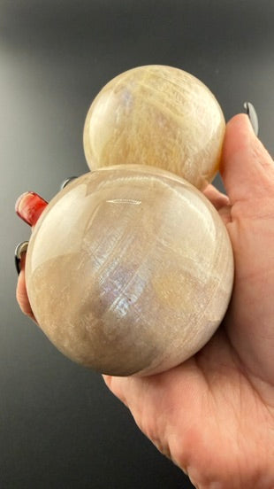 Blue Flash Moonstone Spheres-Earth Fairy Holistics