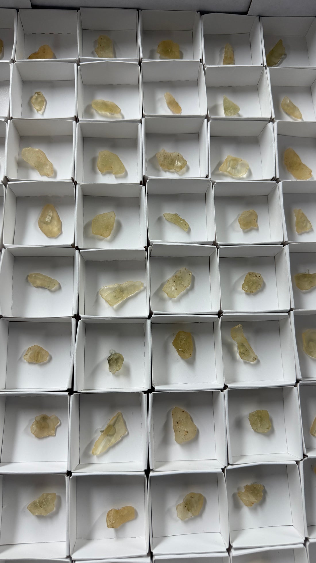Raw Golden Libyan Desert Glass