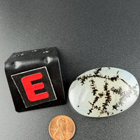 Scenic Dendritic Agate Flat Stones-Earth Fairy Holistics