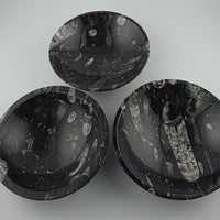 Orthoceras Fossil Bowls-Earth Fairy Holistics