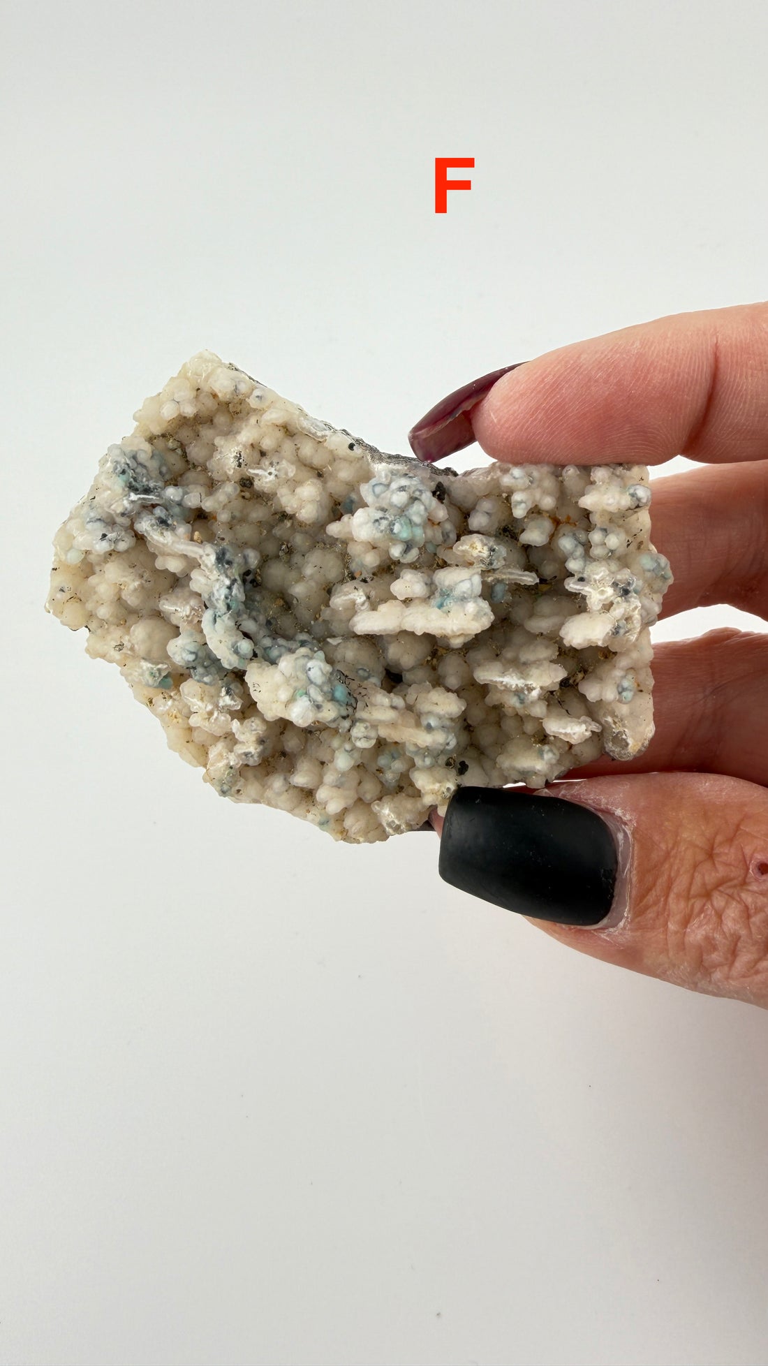 Chalcedony (w/Copper/Chrysocolla & Malachite Incl) Botryoidal Specimens
