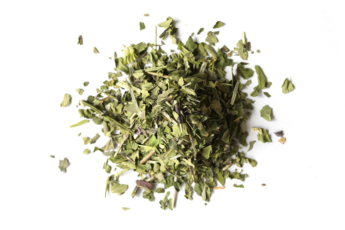 Organic Bee Balm (Monarda fistulosa)-Earth Fairy Holistics