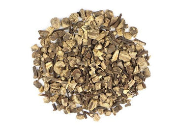 Organic Black Cohosh Root (Actaea racemosa)-Earth Fairy Holistics