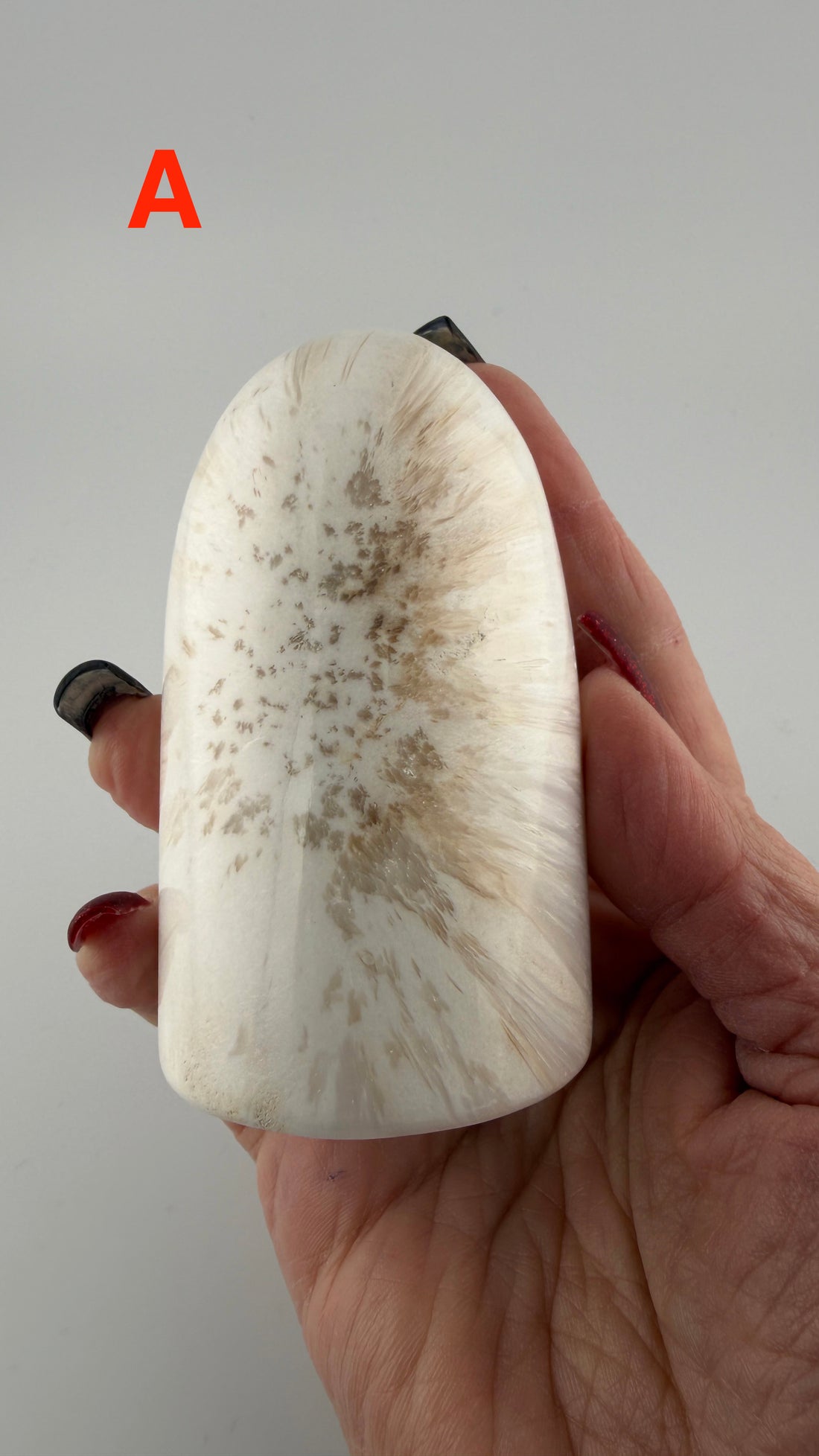 Scolecite Free Forms