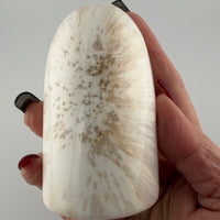 Scolecite Free Forms