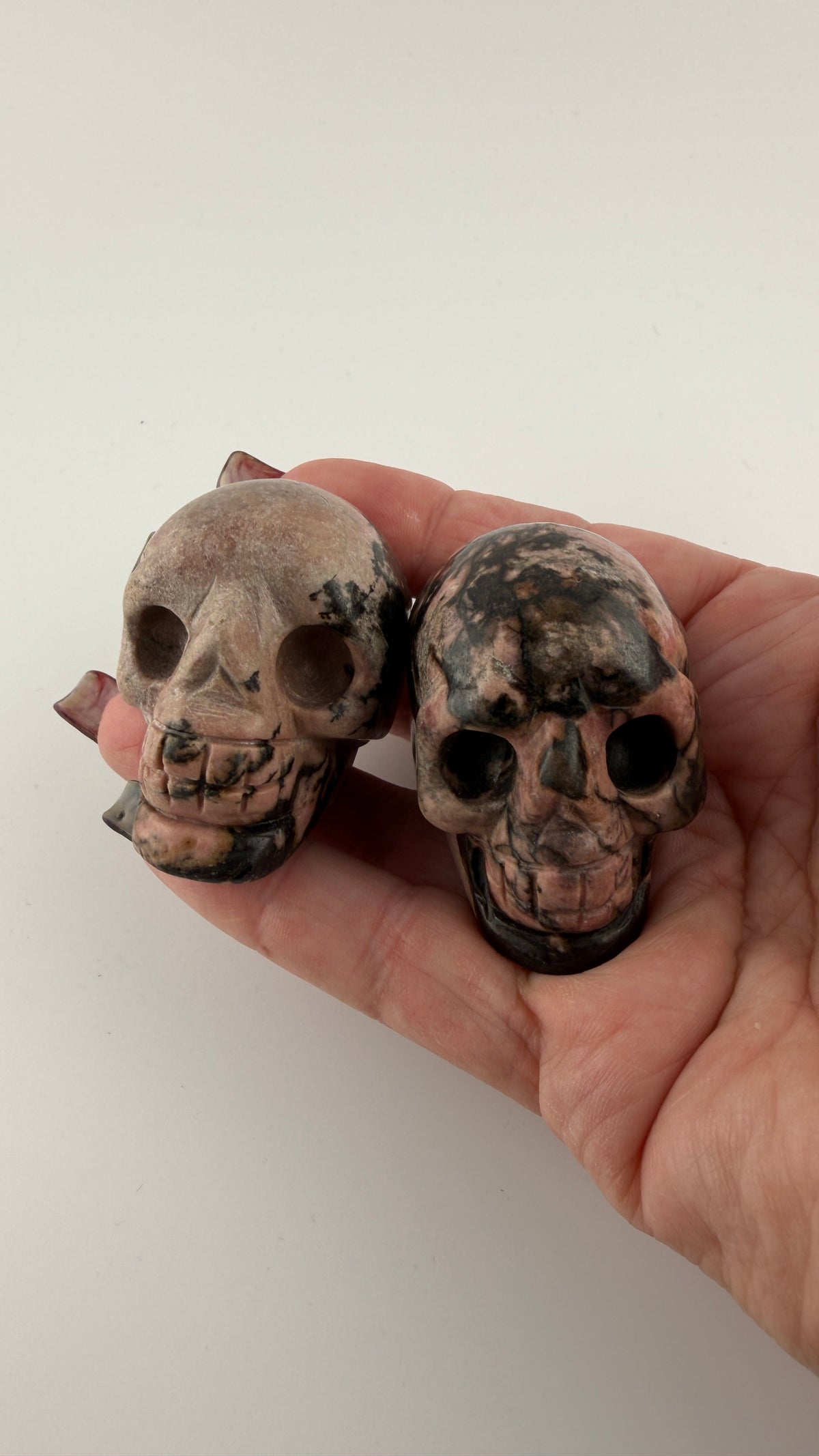Skull Carvings-Earth Fairy Holistics