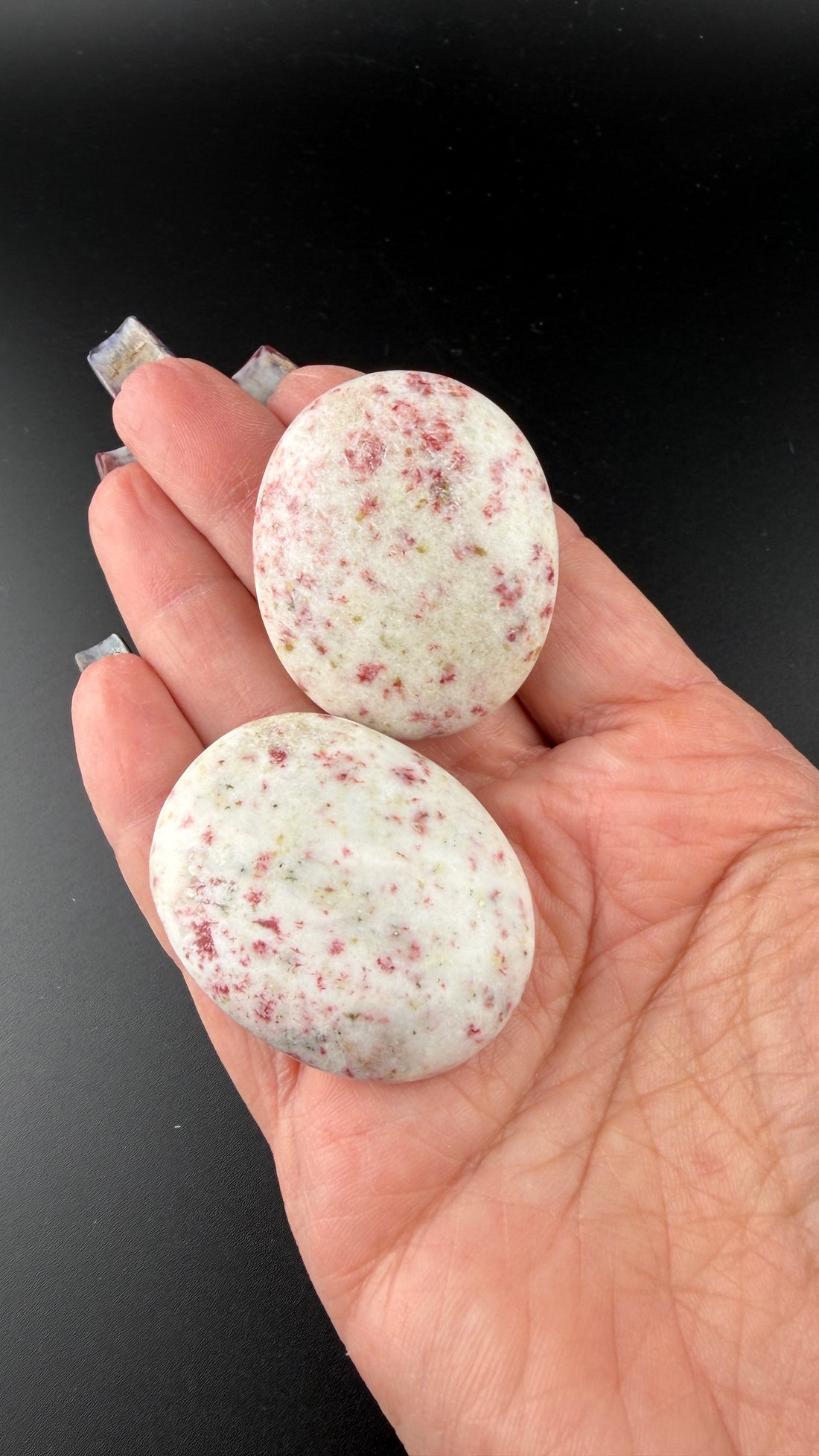 Cinnabar Palm Stone - Small 2"