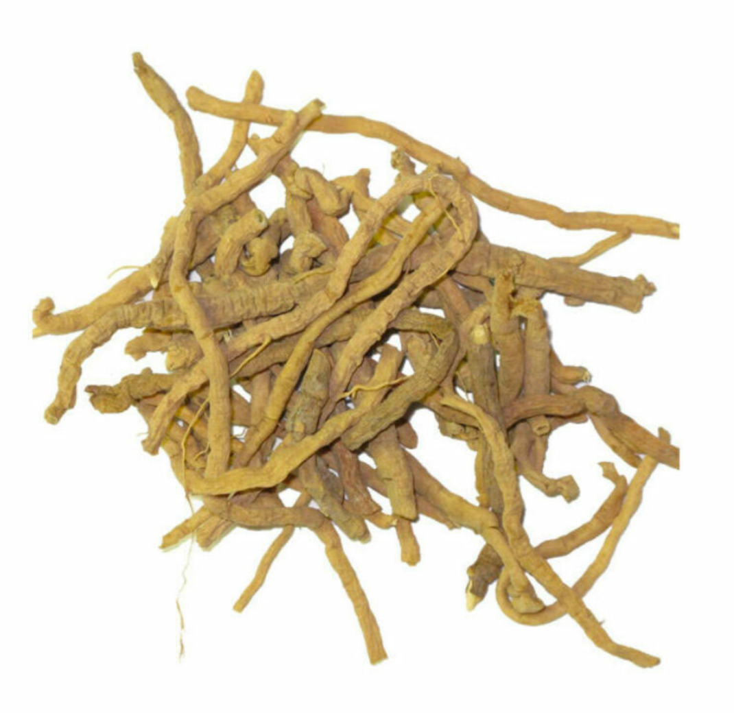 Rattlesnake Root (MAGICAL USE ONLY - NOT FOR INGESTING)-Earth Fairy Holistics