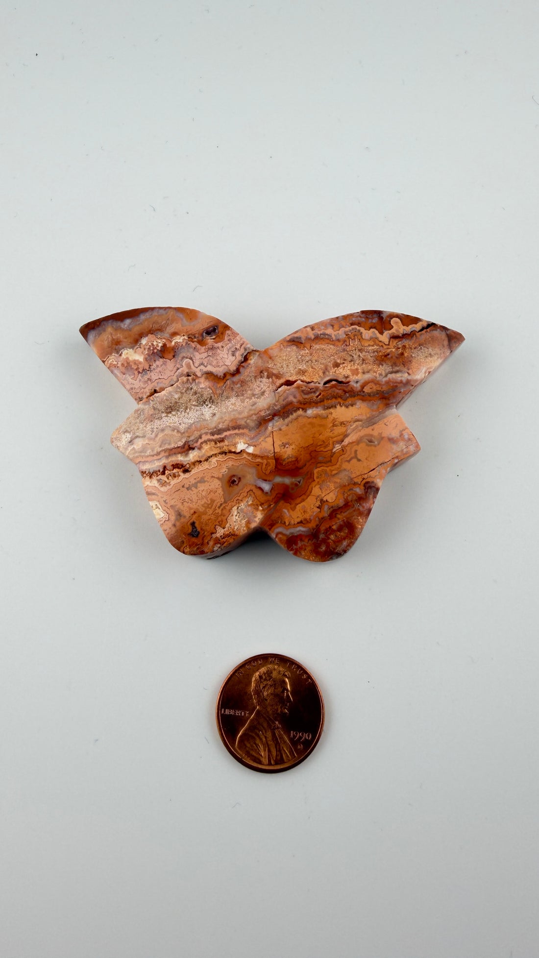 Crazy Lace Agate Butterfly-Earth Fairy Holistics