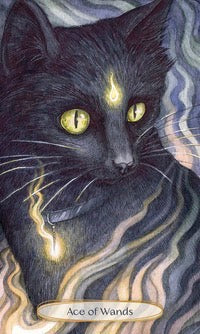 Soul Cats Tarot-Earth Fairy Holistics