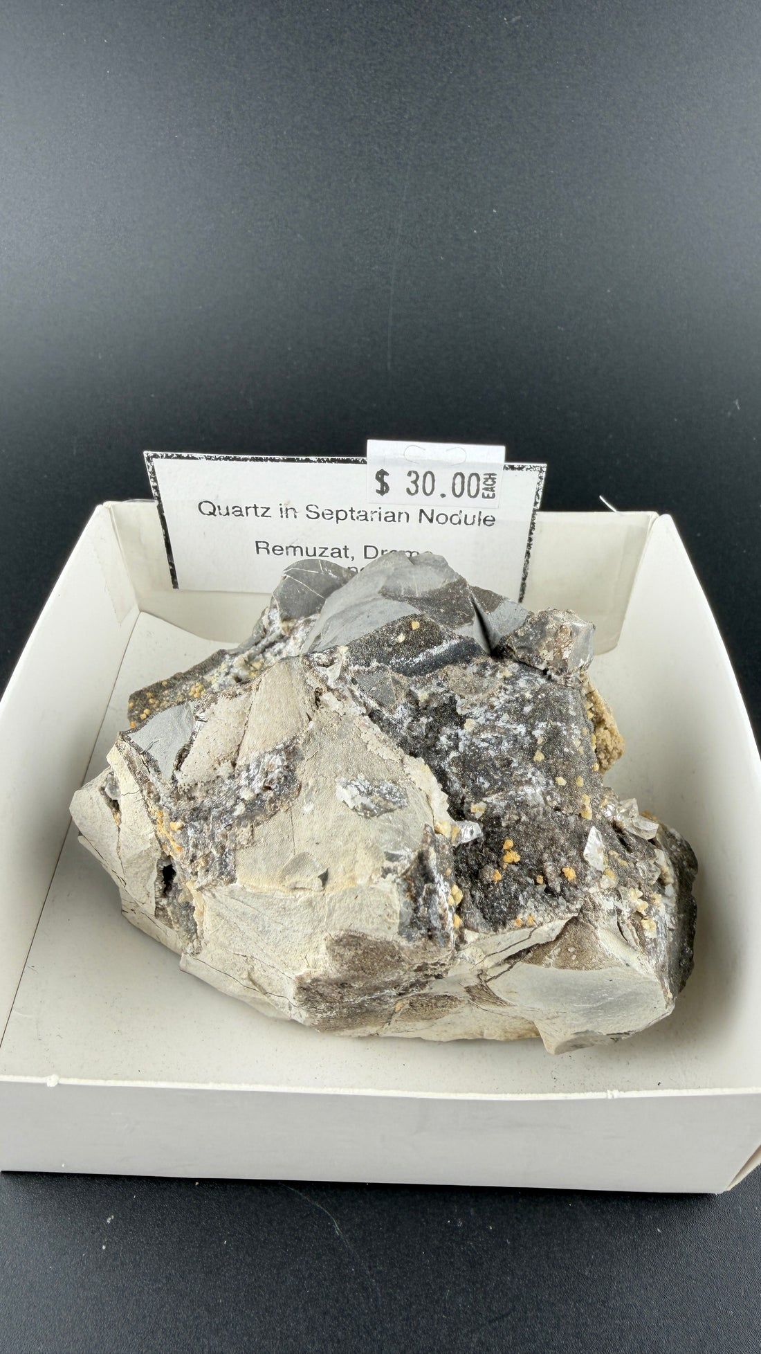 Quartz in Septarian Nodule