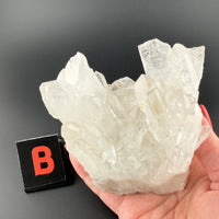 Clear Quartz Clusters