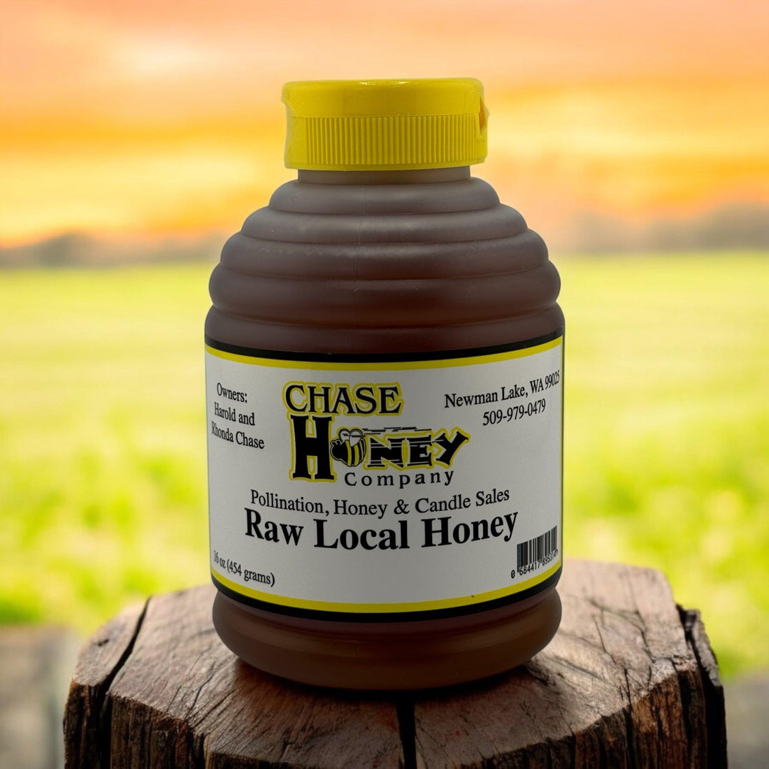 Chase Honey - 1lb Raw Honey-Earth Fairy Holistics