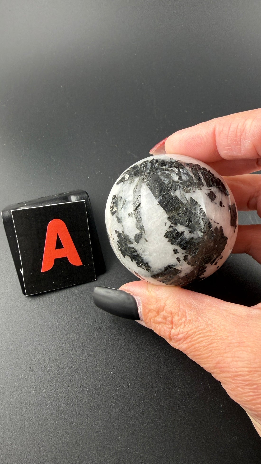 Black Tourmaline in Quartz Sphere-Earth Fairy Holistics