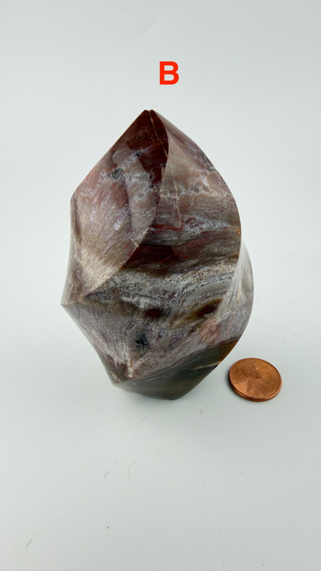 Petrified Wood Flames-Earth Fairy Holistics