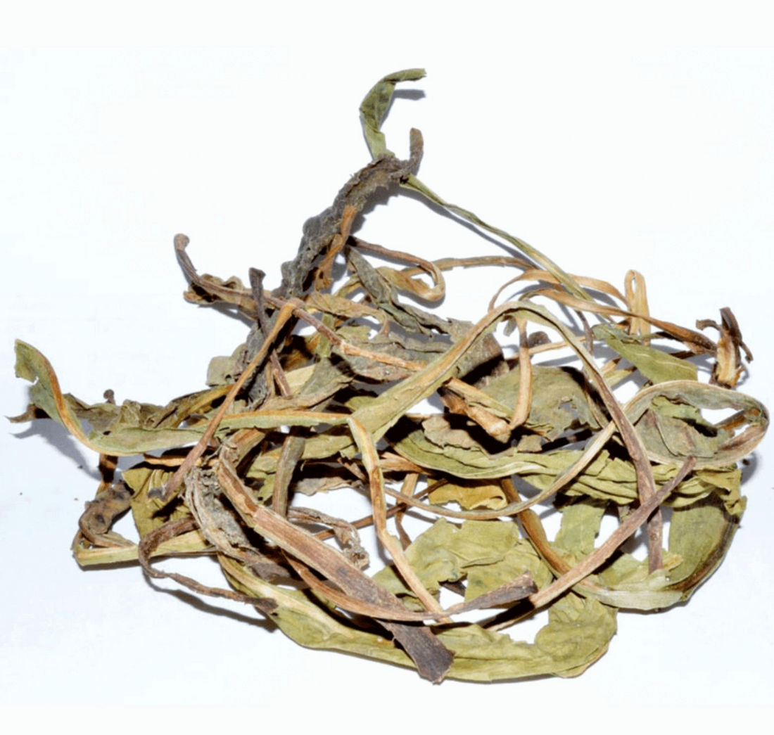Deer's Tongue Leaf (MAGICAL USE ONLY - NOT FOR INGESTING)-Earth Fairy Holistics