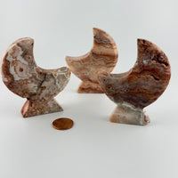 Crazy Lace Agate Standing Moon-Earth Fairy Holistics