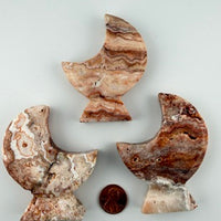 Crazy Lace Agate Standing Moon-Earth Fairy Holistics
