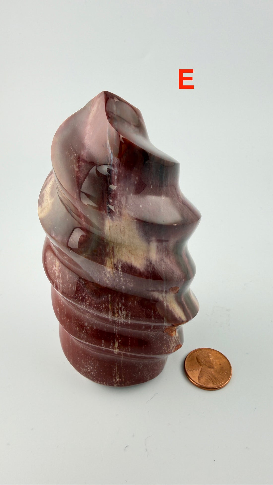 Petrified Wood Flames-Earth Fairy Holistics