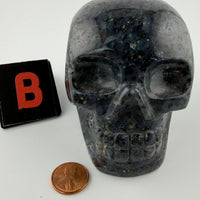 Blue Quartz/Black Tourmaline Skulls-Earth Fairy Holistics