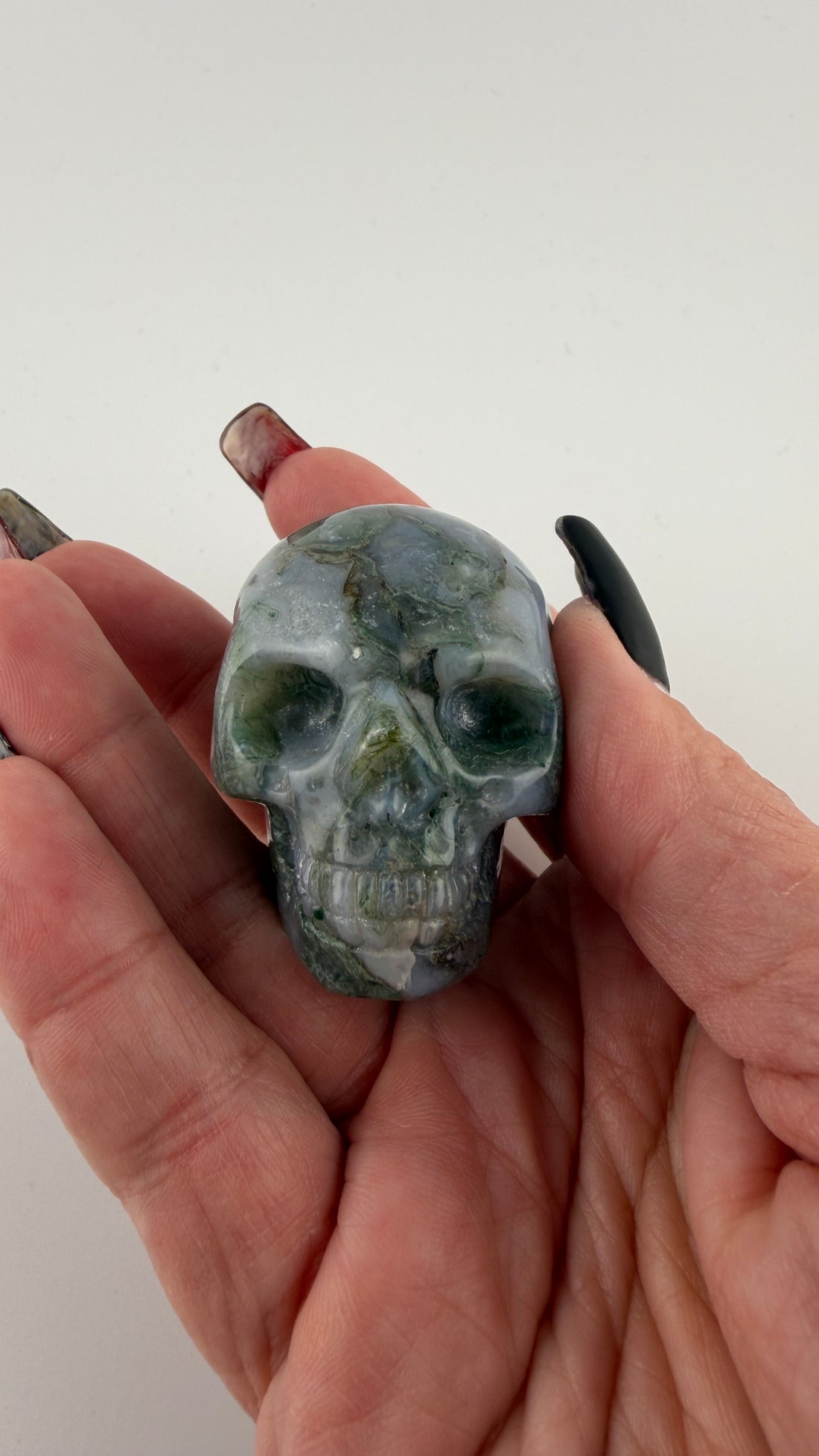 Skull Carvings-Earth Fairy Holistics